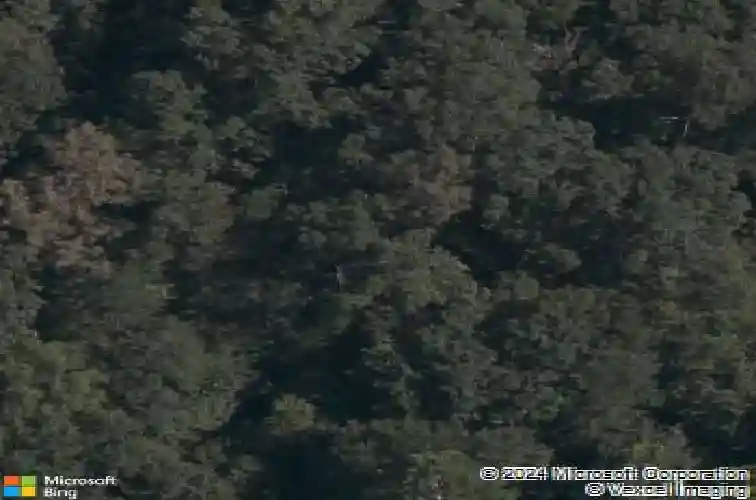  bella vista,  AR 72715