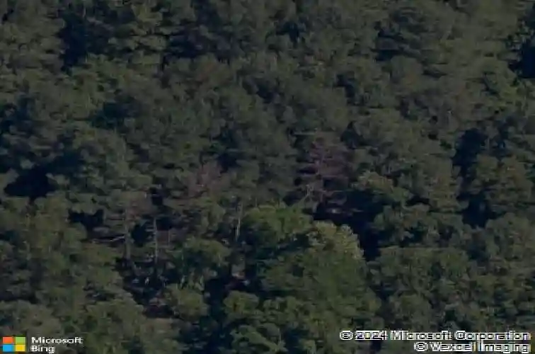 60 coylton dr, bella vista,  AR 72715