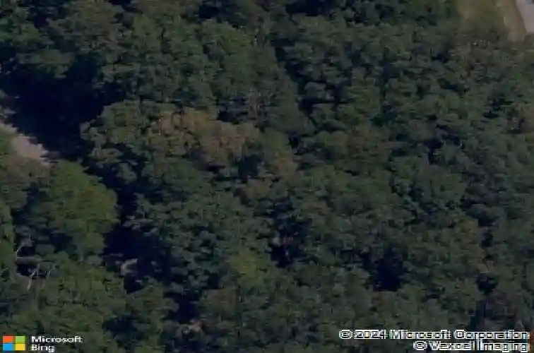 11 whithorn cir, bella vista,  AR 72715