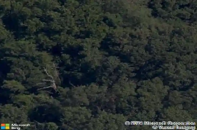 45 blairgowrie dr, bella vista,  AR 72715