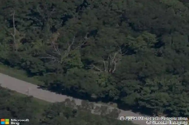 46 w elvendon dr, bella vista,  AR 72715