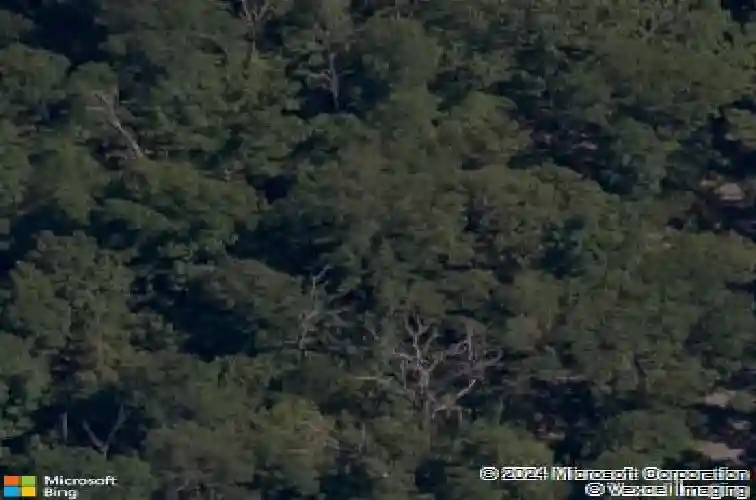 59 cromarty dr, bella vista,  AR 72715