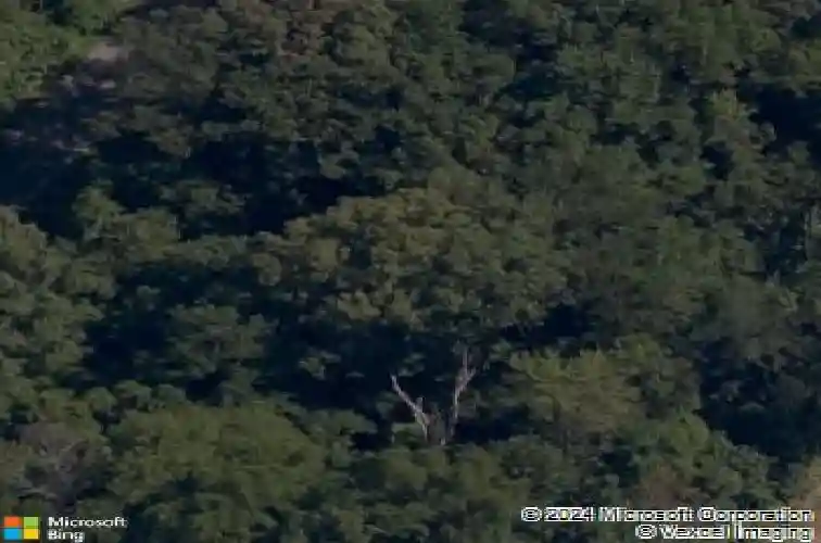 20 kintyre ln, bella vista,  AR 72715