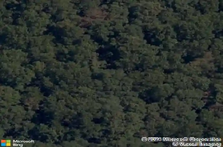 5 arran ln, bella vista,  AR 72715