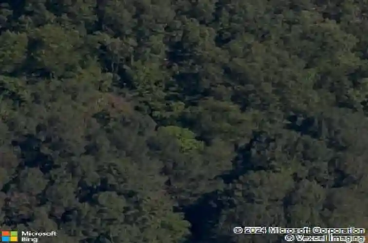 10 dundonald ln, bella vista,  AR 72715