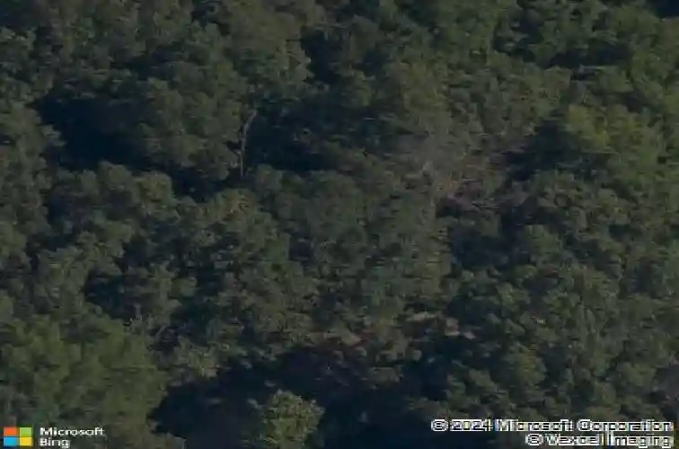 35 dirleton dr, bella vista,  AR 72715