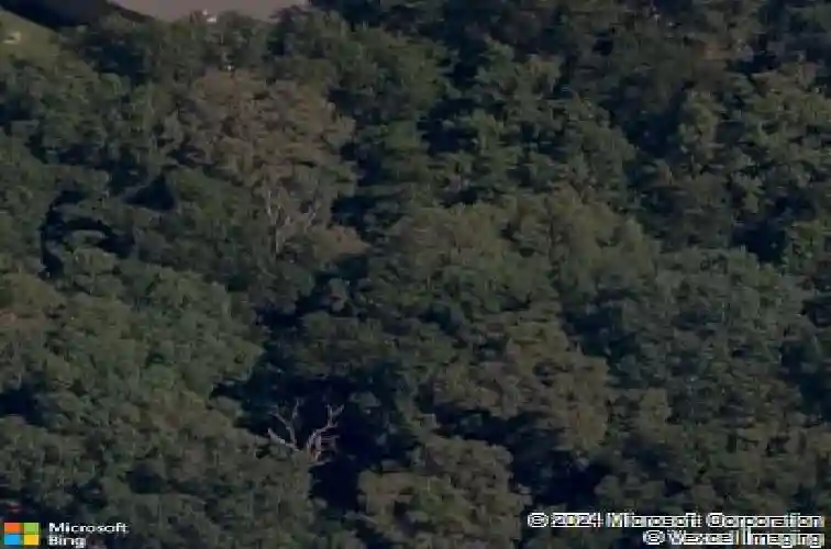 12 angus ln, bella vista,  AR 72715