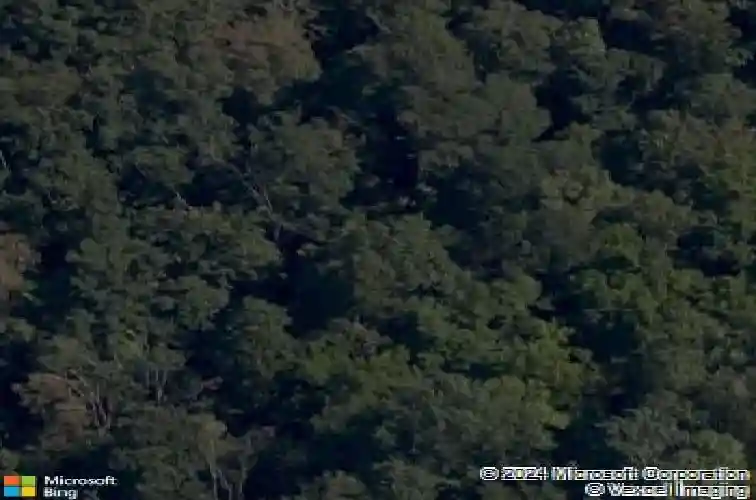 20 singleton dr, bella vista,  AR 72715