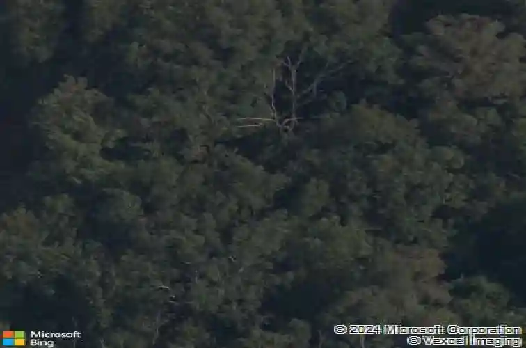 96 witherby dr, bella vista,  AR 72714