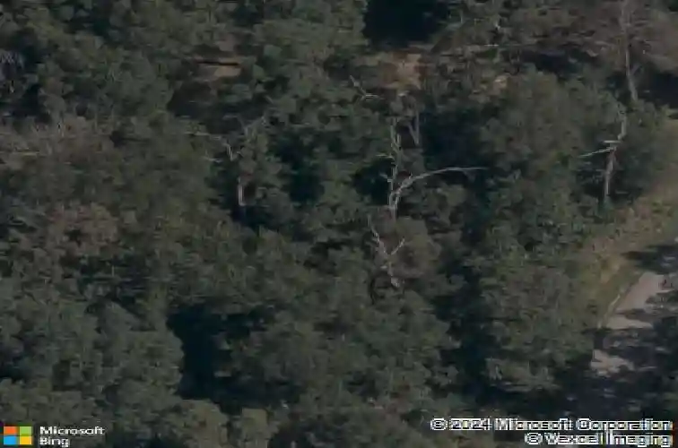 3 grimsay dr, bella vista,  AR 72715