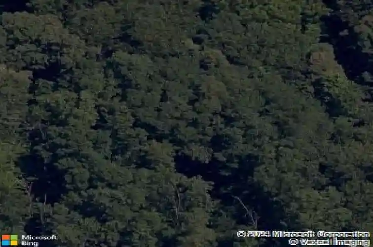 10 branchwood ln, bella vista,  AR 72715