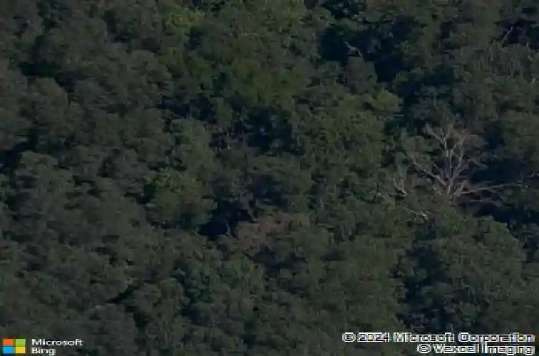 milburn, bella vista,  AR 72715