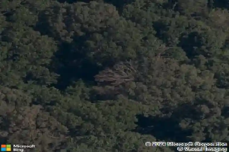 8 killin ln, bella vista,  AR 72715