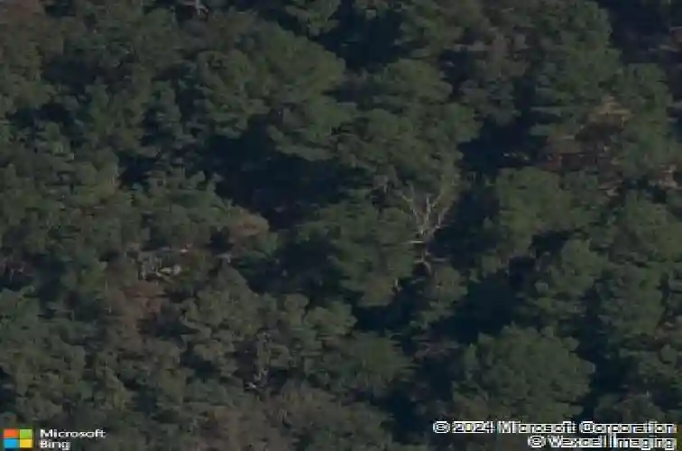 14 winsford ln, bella vista,  AR 72714