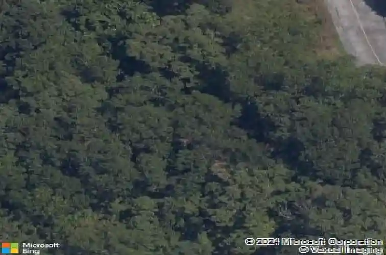 mountain lake drive, rogers,  AR 72756