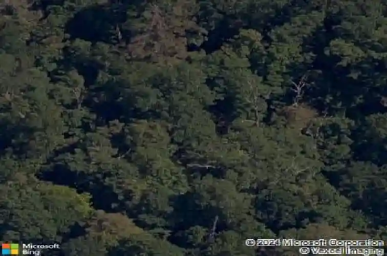 bonnyrigg lane, bella vista,  AR 72715