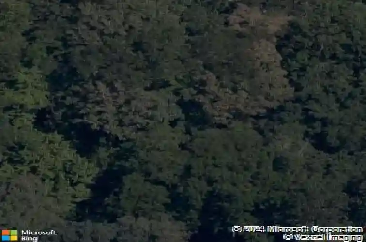 exmoor lane, bella vista,  AR 72715