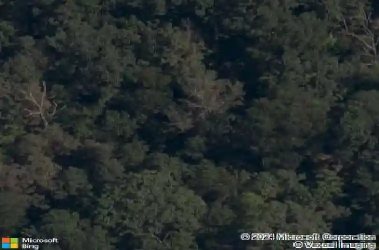 midhurst lane, bella vista,  AR 72715