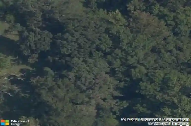  pea ridge,  AR 72751