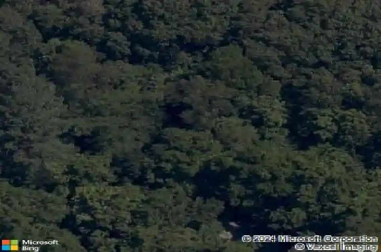 alexis circle, bella vista,  AR 72715