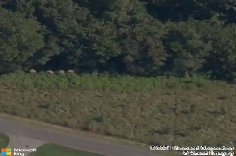 cannich lane, bella vista,  AR 72715