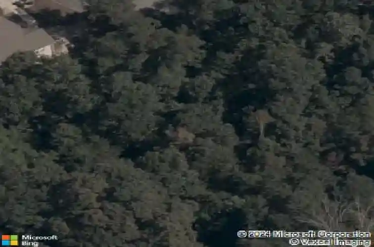 shetland lane, bella vista,  AR 72715