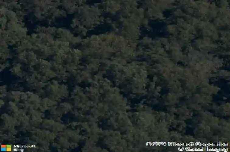 kitt lane, bella vista,  AR 72715