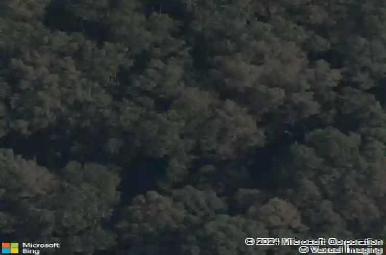 32 cresswell dr, bella vista,  AR 72714