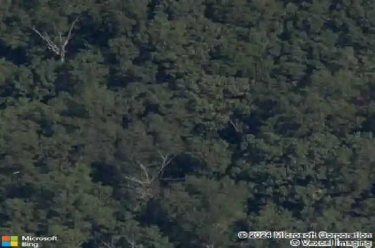 13920 sunset bay blvd, rogers,  AR 72756