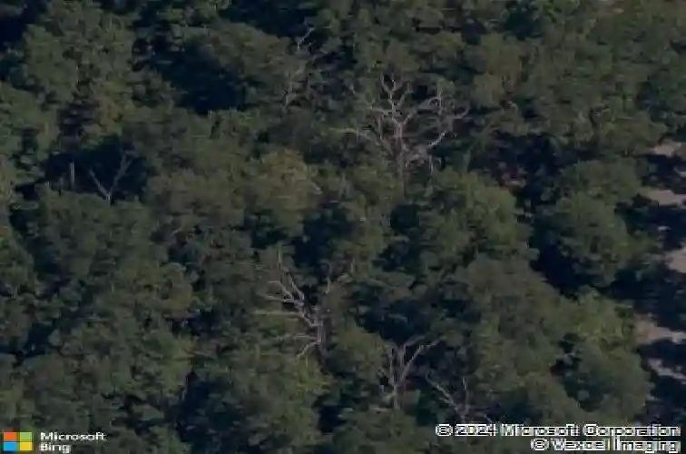 57 cromarty dr, bella vista,  AR 72715