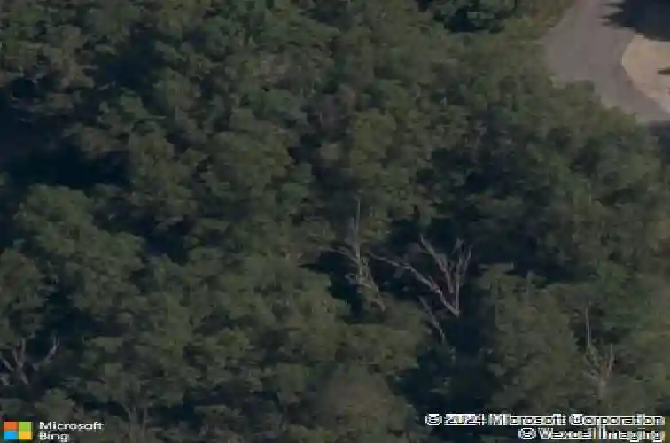 34 dirleton dr, bella vista,  AR 72715