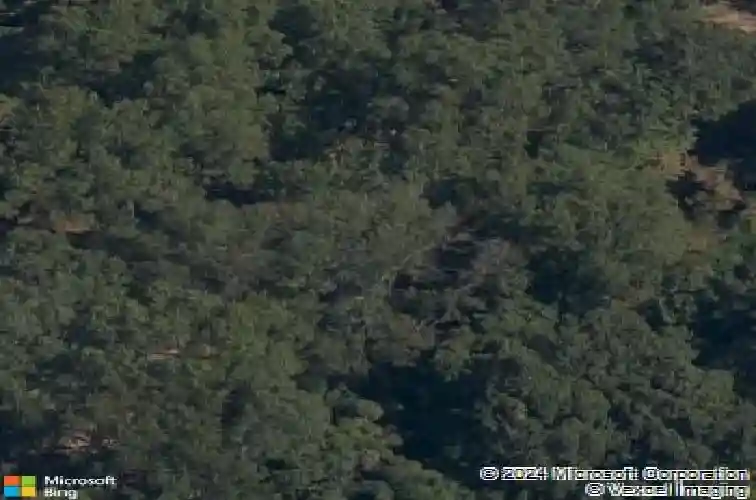 10435 hickory hills dr, rogers,  AR 72756