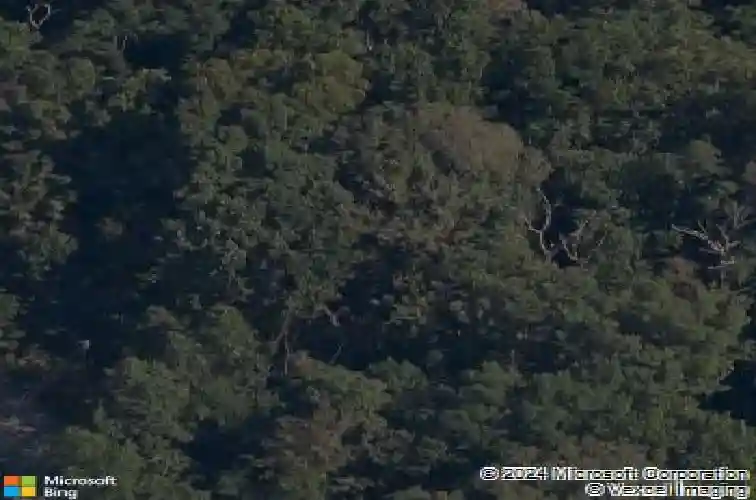 8 copinsay ln, bella vista,  AR 72715