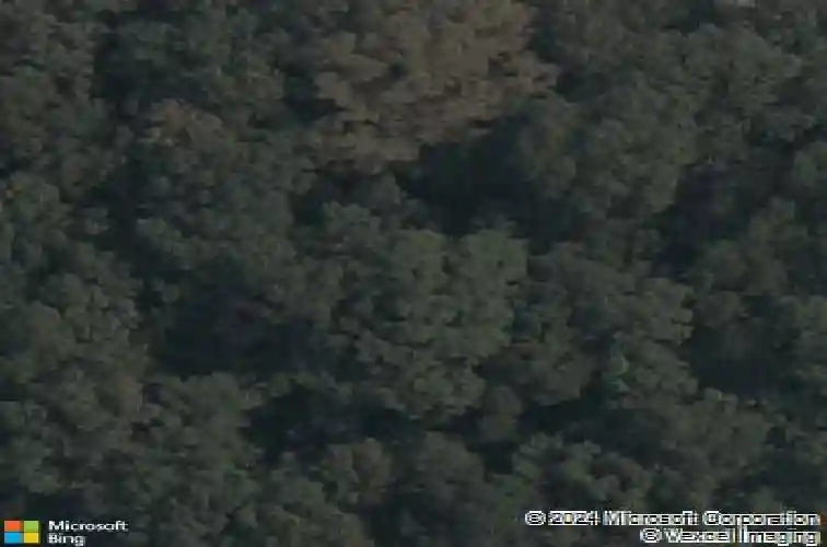 20 bobwith ln, bella vista,  AR 72714