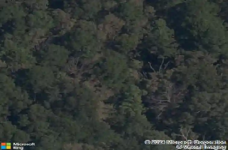 13 abbotsley ln, bella vista,  AR 72714