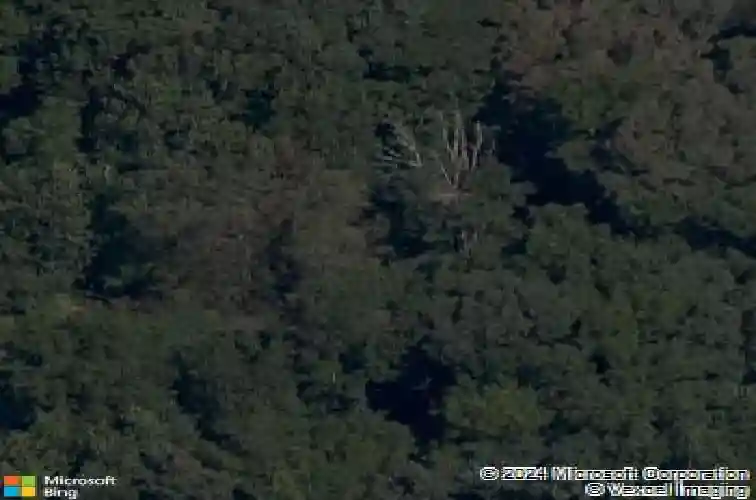 wanstead lane, bella vista,  AR 72715