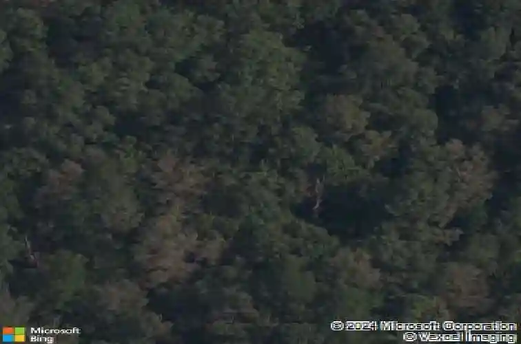 21 shefford ln, bella vista,  AR 72714