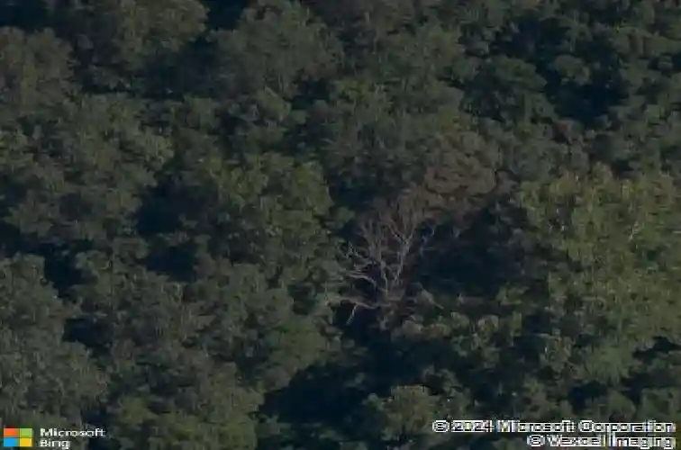 14 mcginnis ln, bella vista,  AR 72715