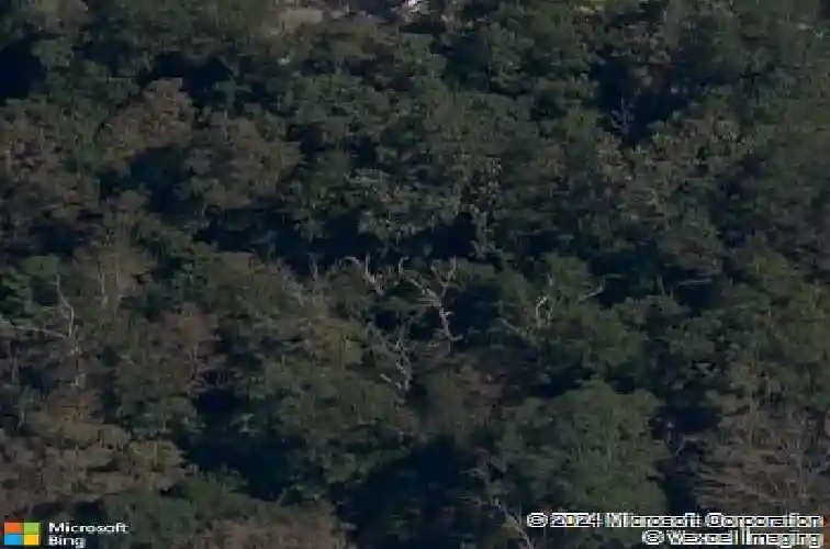 33 buckland ln, bella vista,  AR 72715