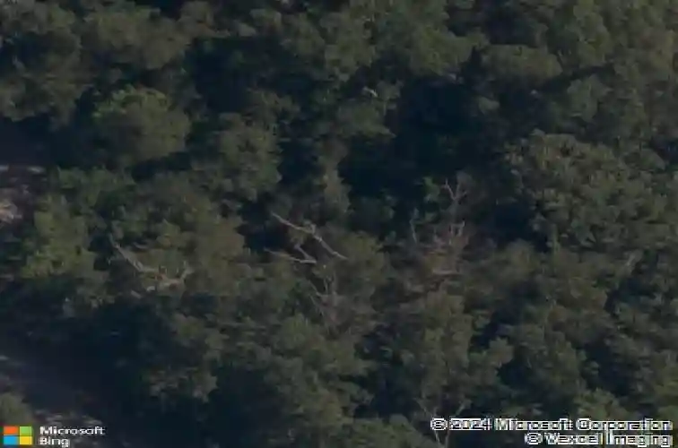 2 anchinleck cir, bella vista,  AR 72715