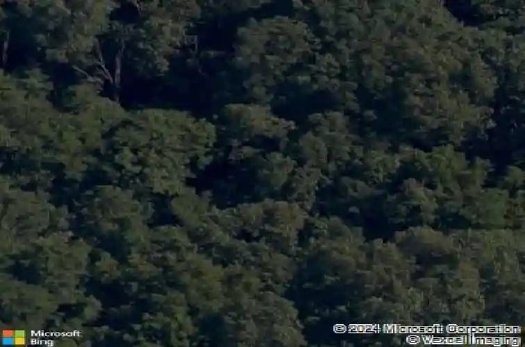 10 singleton dr, bella vista,  AR 72715