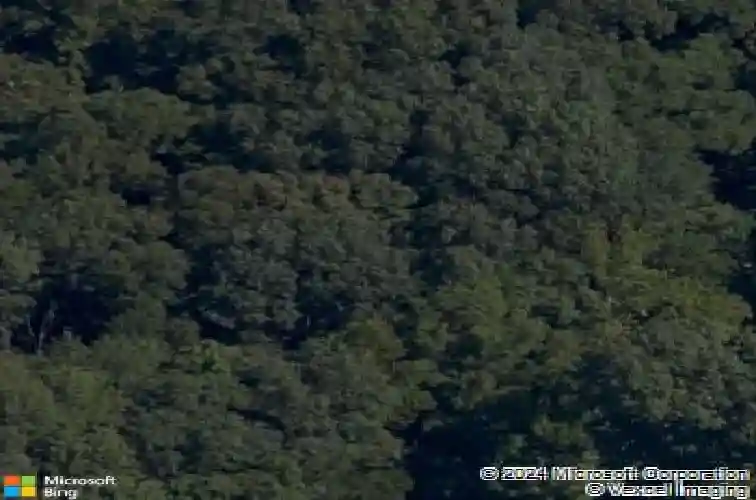 8 kintyre cir, bella vista,  AR 72715