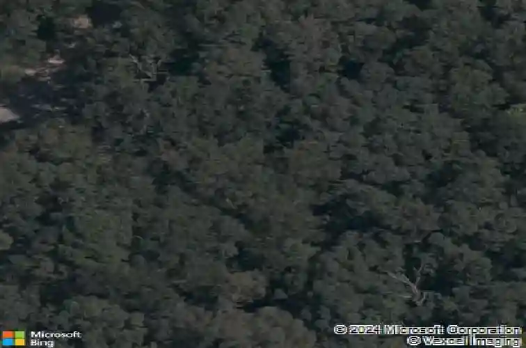 cockerham lane, bella vista,  AR 72714