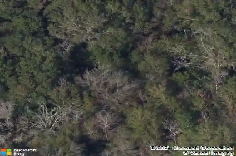 old east lake, tarpon springs,  FL 34688