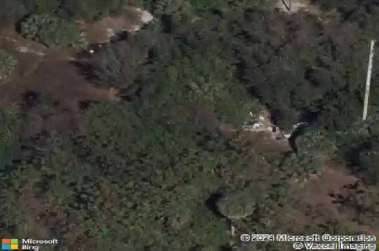  st petersburg,  FL 33712