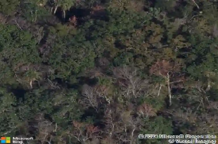 n pinellas avenue, tarpon springs,  FL 34689