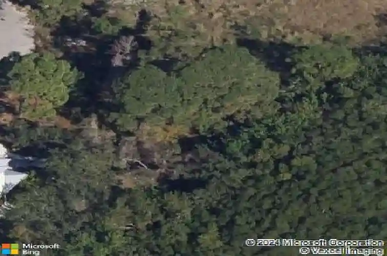  palm harbor,  FL 34683