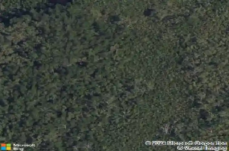 point seaside drive, crystal beach,  FL 34681