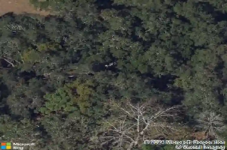 wolford road, clearwater,  FL 33760