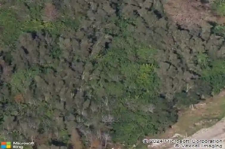 2661 cyprus dr, palm harbor,  FL 34684